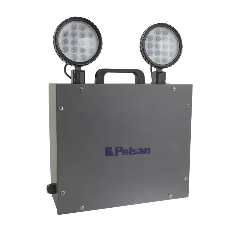 2x10W IP65 Emera Spot