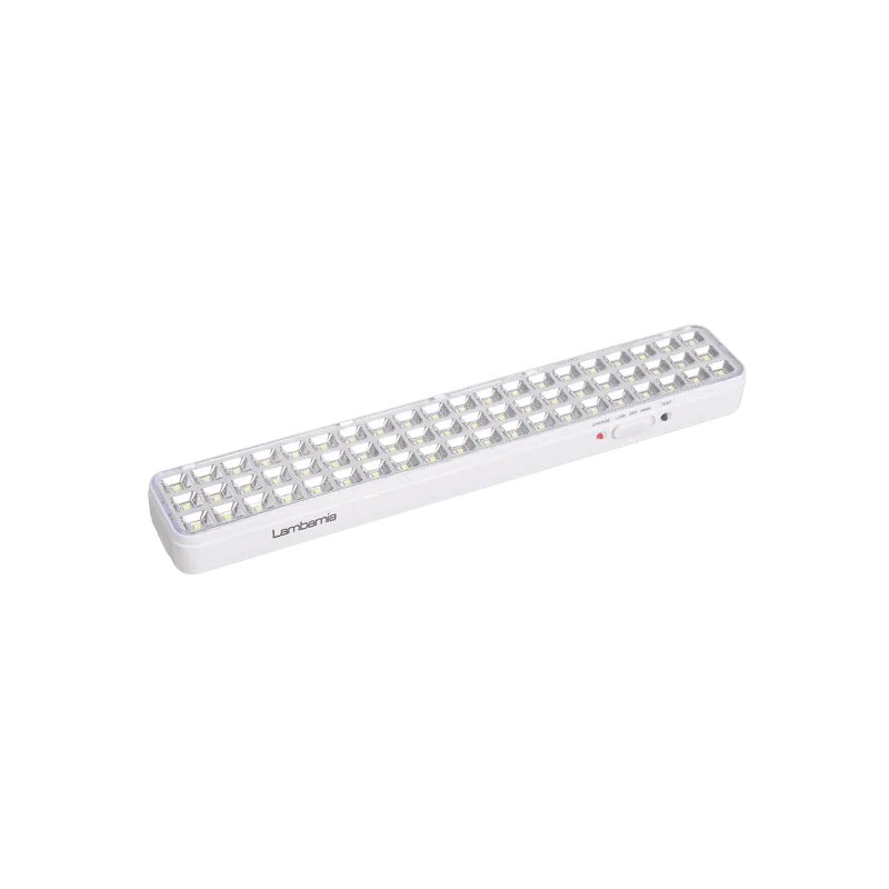 40-60 LEDs Emergency Lantern