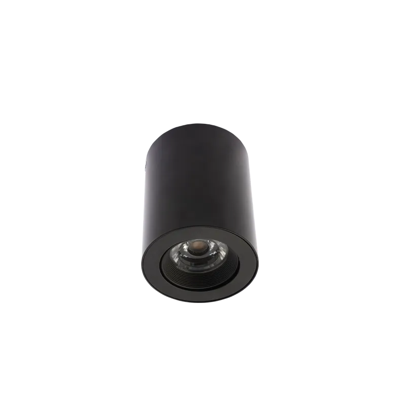 Capella Surfacce Mounted