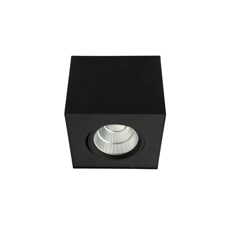 Lora Surface Mounted 1